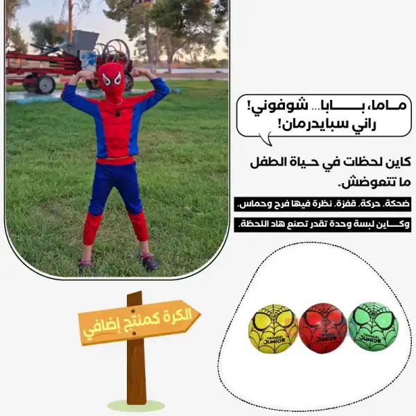 spiderman lp-02.webp